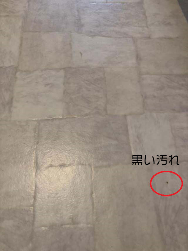 写真の右下の黒汚れ